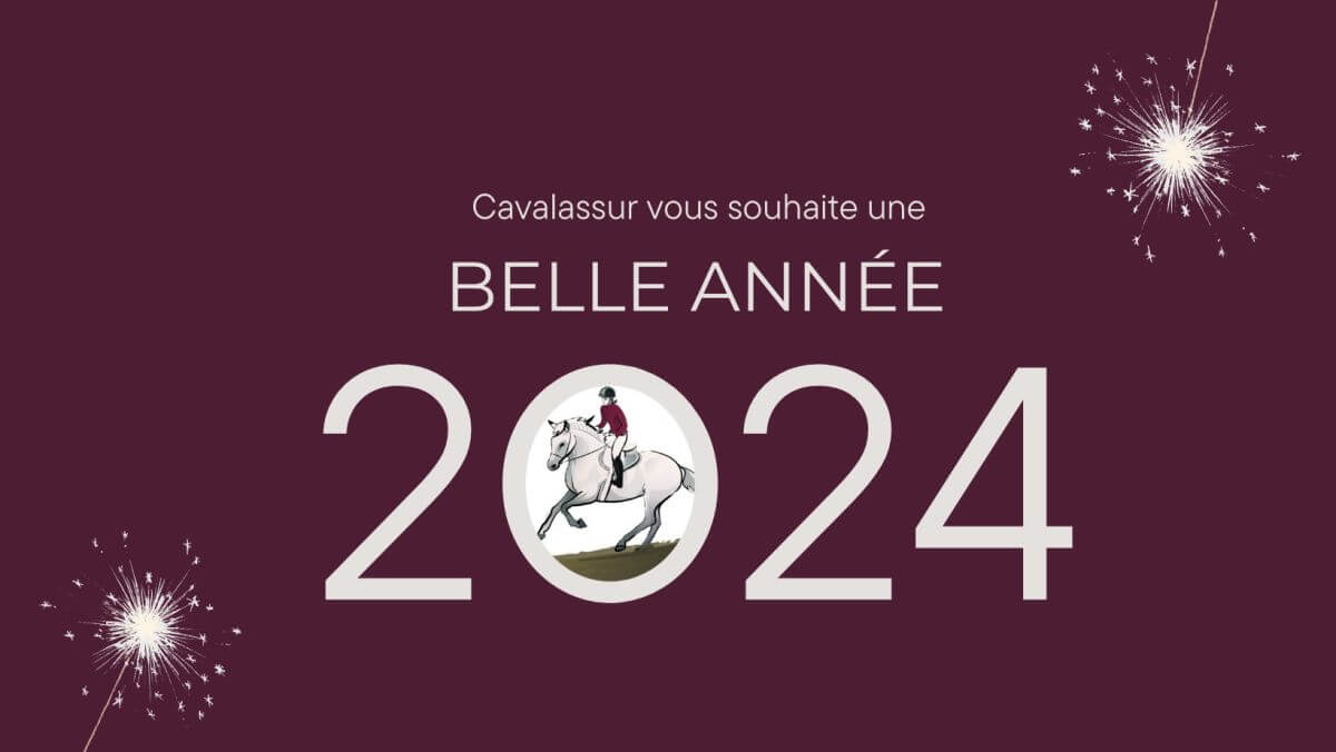 Bonne année ! 